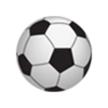 永州队